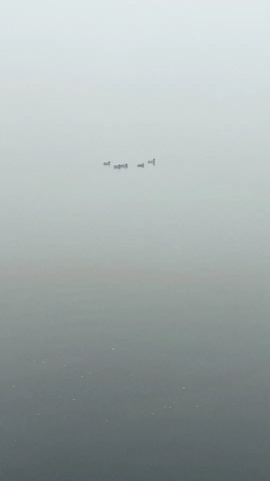 into the void, photo 12
